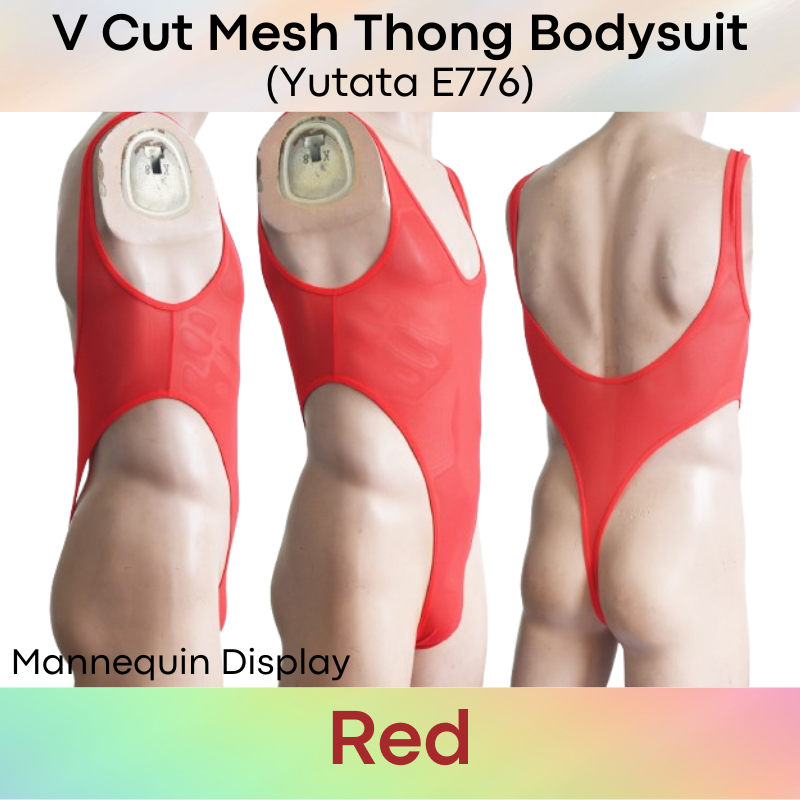 Mens Bodysuit: Polyester Mesh V Cut Thong Bodysuit Underwear (E776)