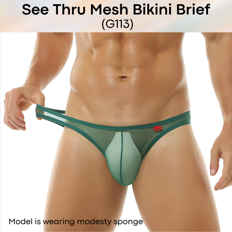 Men's Brief: Polyester Mesh See Through Bikini Brief Underwear (G113)