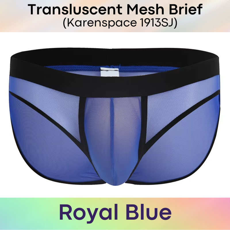 Men's Brief: Polyester Translucent Mesh Brief Underwear (KS1913SJ)