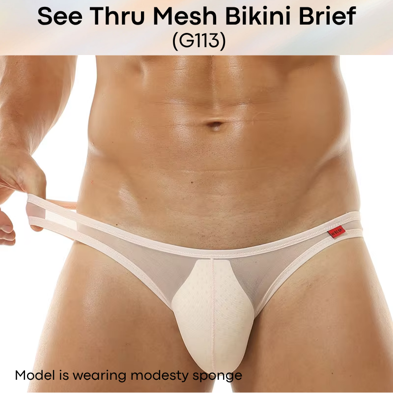 Men's Brief: Polyester Mesh See Through Bikini Brief Underwear (G113)
