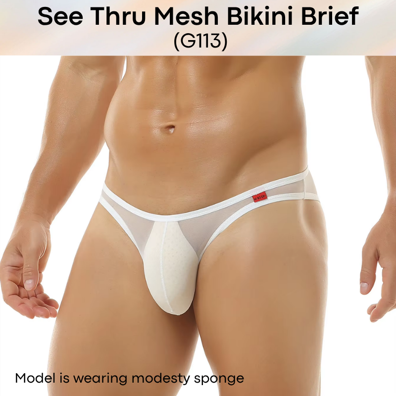 Men's Brief: Polyester Mesh See Through Bikini Brief Underwear (G113)