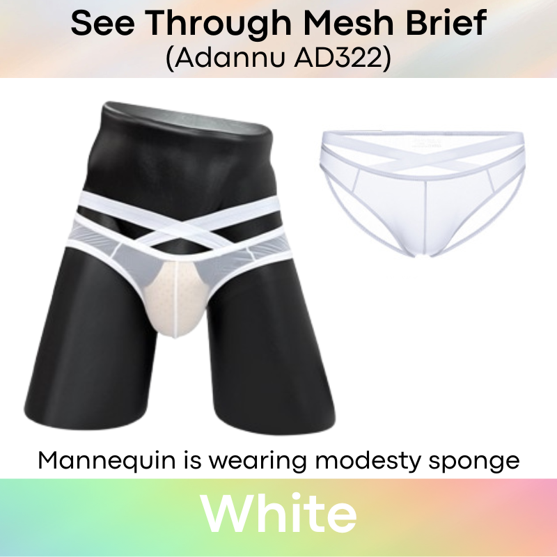Men's Brief: Nylon See Through Thin Mesh Brief with Front Waist Strap (AD322)