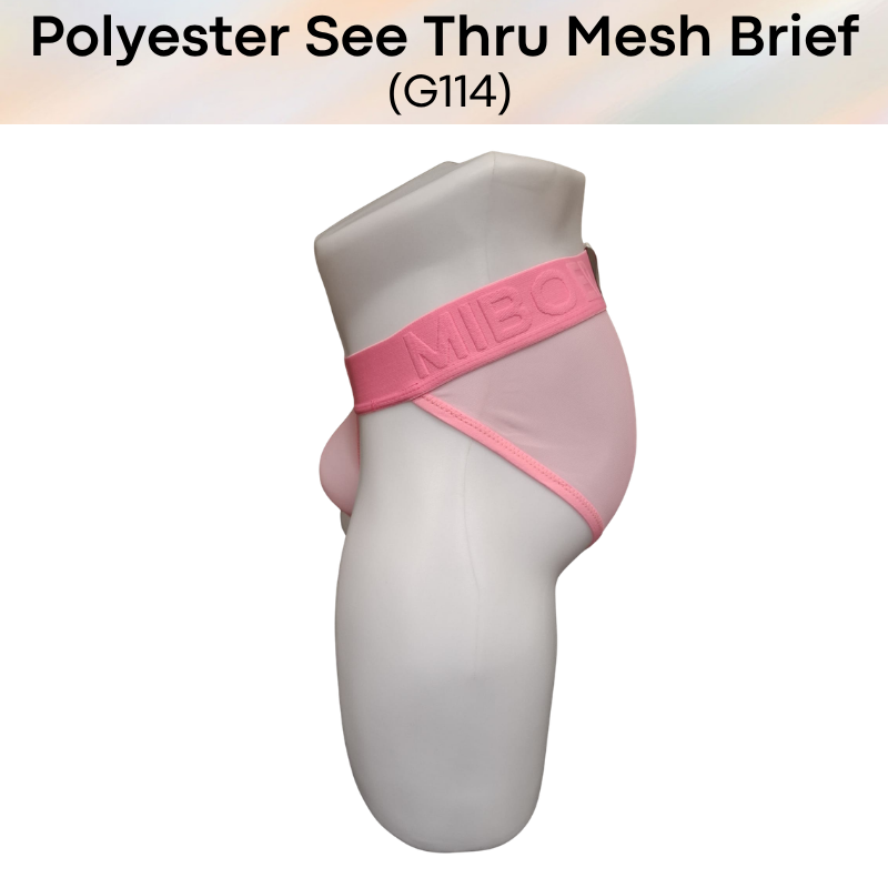 Men's Brief: Polyester Mesh See Through Brief Underwear (G114)