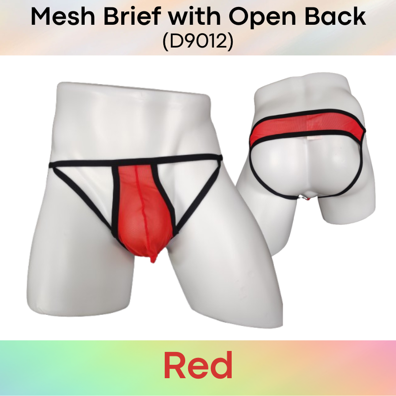 Men's Brief : Polyester Mesh Brief with Open Back (D9012)