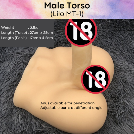 Adult Toy : Male Torso with Butt / Penis (MT1/MT2/MT3)