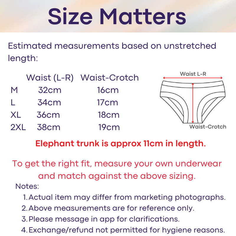 Men's Brief: Ice Silk Lace Waistband Brief with Elephant Trunk Pouch (WJ1055SJ)