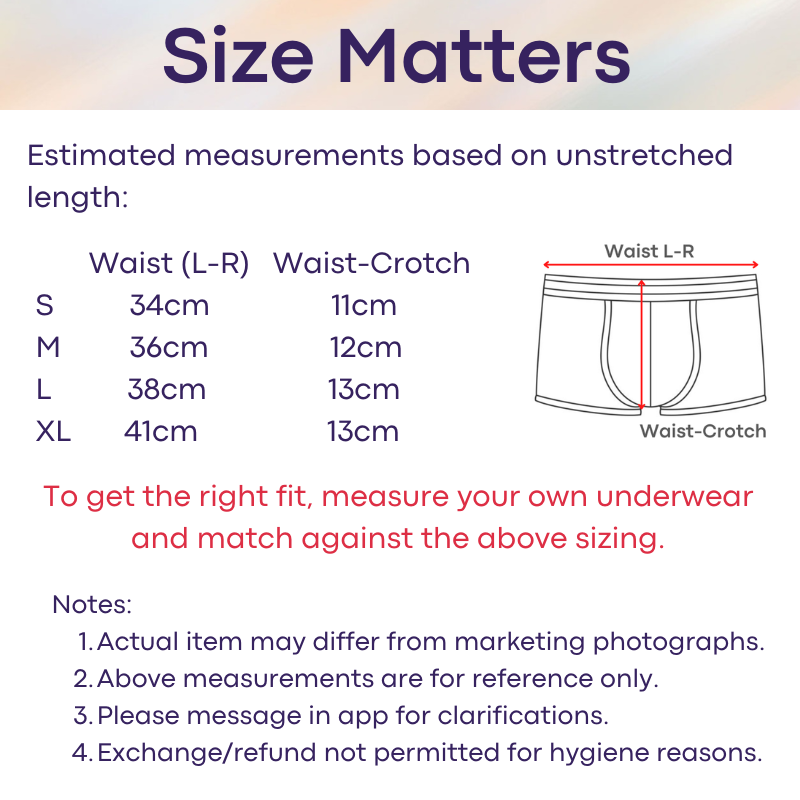 Men's Boxer: Nylon Ice Silk Tight Fit Low Rise Metallic Colour Boxer Brief Underwear (F3603)