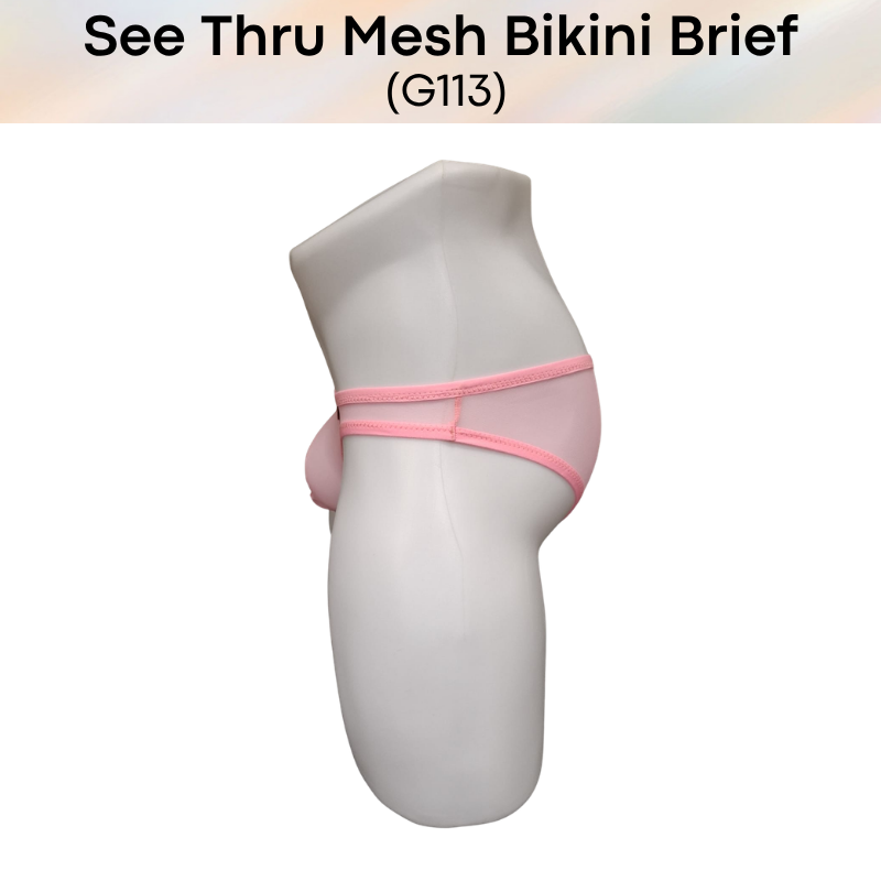 Men's Brief: Polyester Mesh See Through Bikini Brief Underwear (G113)