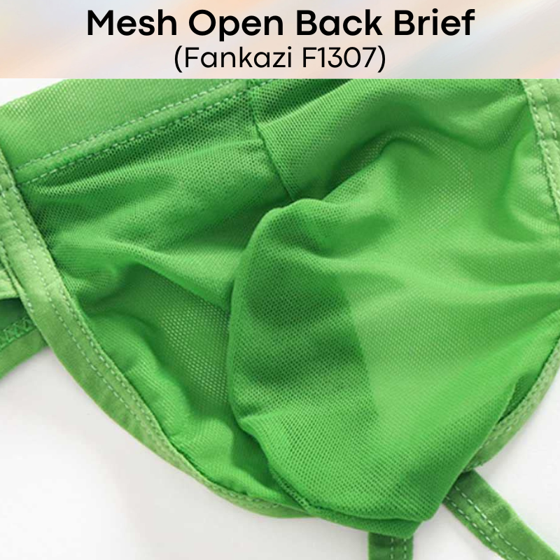Men's Brief: Brief with Mesh See Through Underwear (F1307)