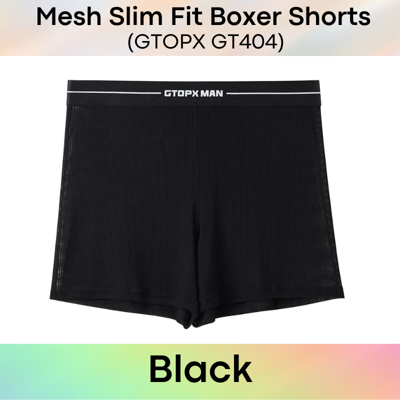 Men's Boxer : Nylon Ice Silk Mesh Slim Fit Boxer Shorts Underwear (GTOPX GT404)