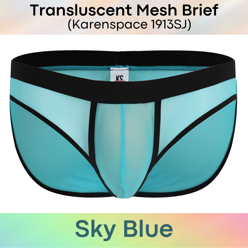 Men's Brief: Polyester Translucent Mesh Brief Underwear (KS1913SJ)