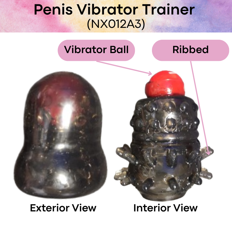 Men's Adult Toy: Vibrating Penis Trainer (NX012A3)