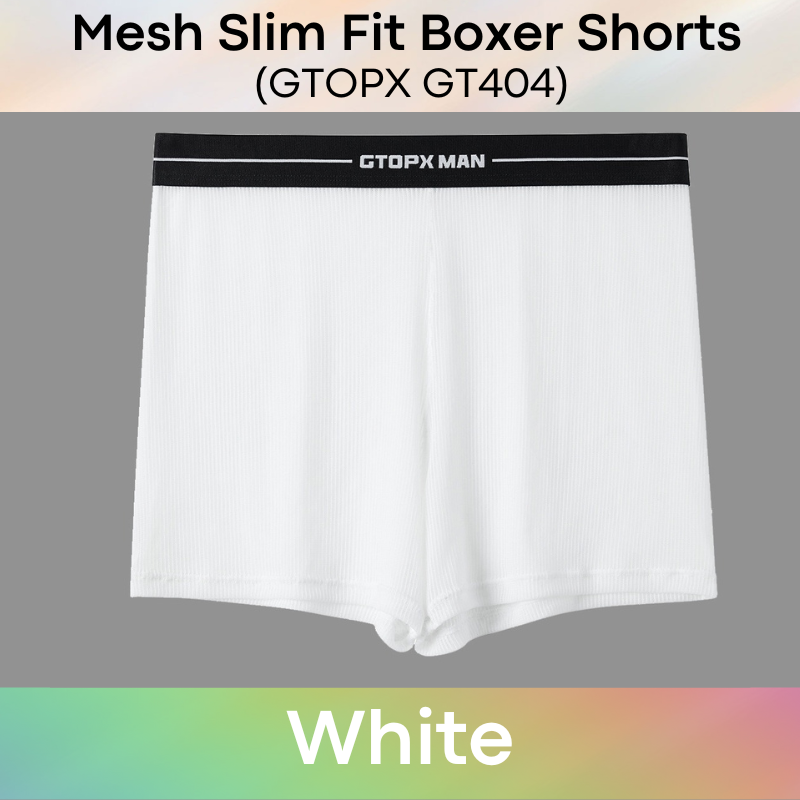 Men's Boxer : Nylon Ice Silk Mesh Slim Fit Boxer Shorts Underwear (GTOPX GT404)