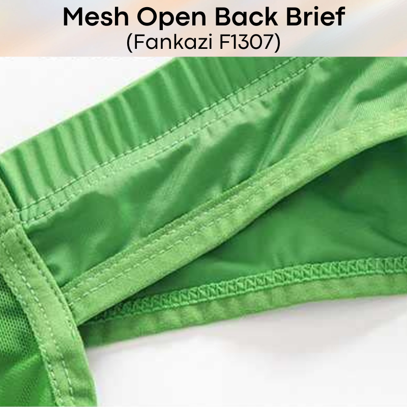 Men's Brief: Brief with Mesh See Through Underwear (F1307)