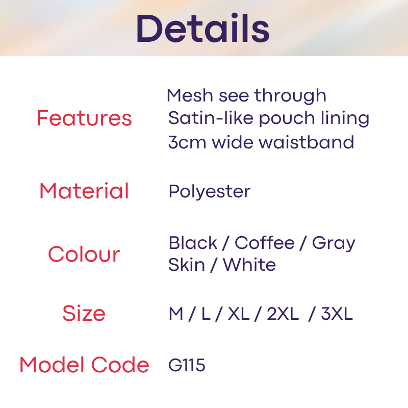 Men's Brief: Polyester Mesh See Through Brief with Satin Pouch Underwear (G115)