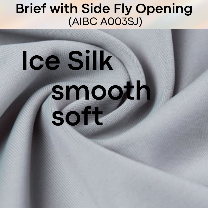 Men's Brief: Polyester Brief with Side Fly Opening Underwear (A003SJ)