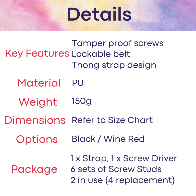 Adult Toy: Men's PU Chastity Cage Thong Strap with Lockable Belt and Tamper Proof Screw (FRRKPU10)