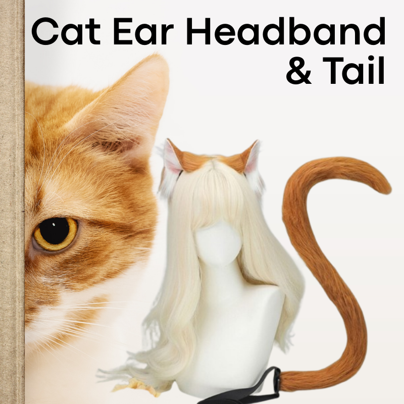 Men's Lifestyle: Cat Headband with Flexible Tail Roleplay/Cosplay Set (AOFC)