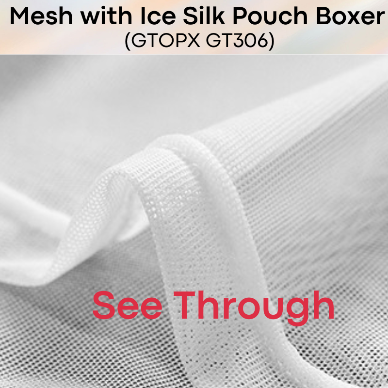 Men's Boxer : Nylon Mesh See Through with Non-Mesh Ice Silk Pouch Boxer Underwear (GTOPX GT306)