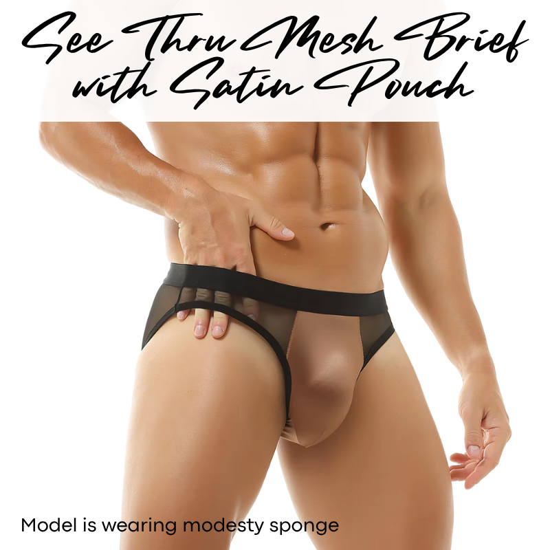 Men's Brief: Polyester Mesh See Through Brief with Satin Pouch Underwear (G115)