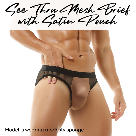 Men's Brief: Polyester Mesh See Through Brief with Satin Pouch Underwear (G115)