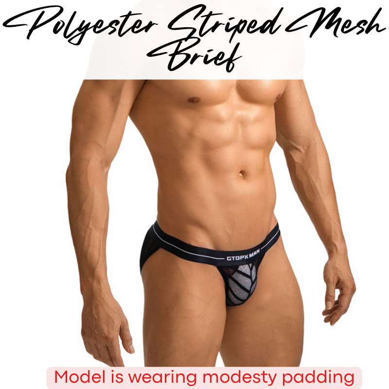 Men's Brief: Mesh Opaque Striped Brief (GT509)