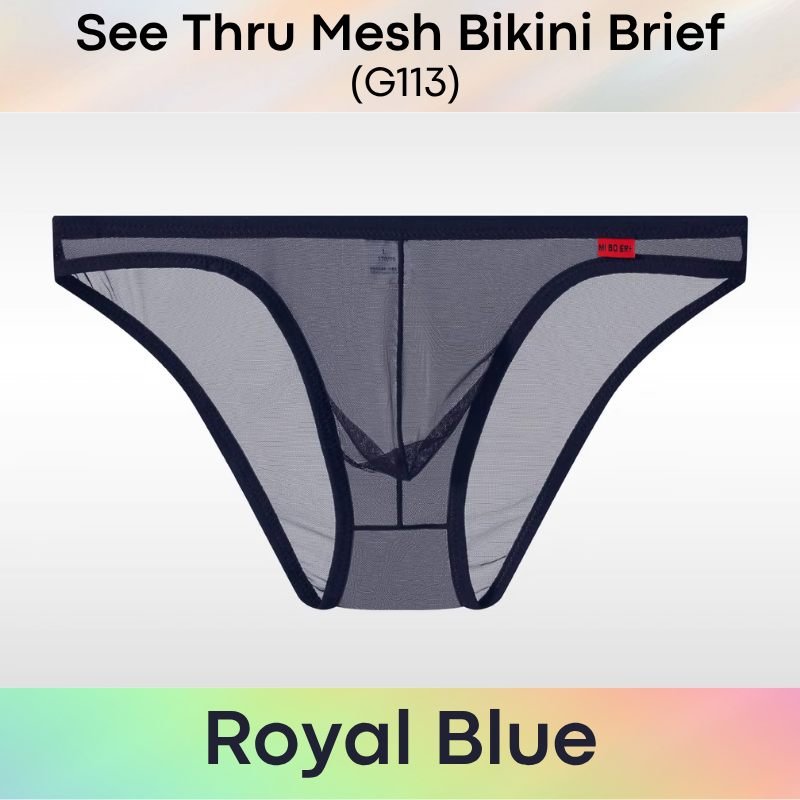 Men's Brief: Polyester Mesh See Through Bikini Brief Underwear (G113)