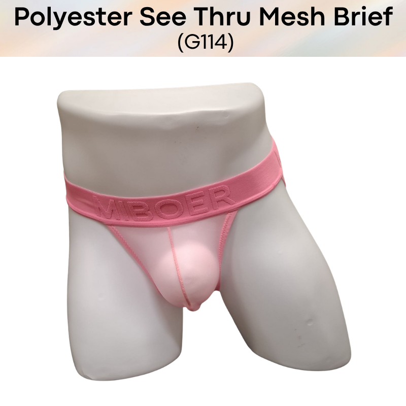 Men's Brief: Polyester Mesh See Through Brief Underwear (G114)