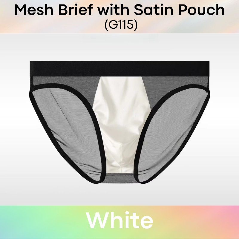 Men's Brief: Polyester Mesh See Through Brief with Satin Pouch Underwear (G115)
