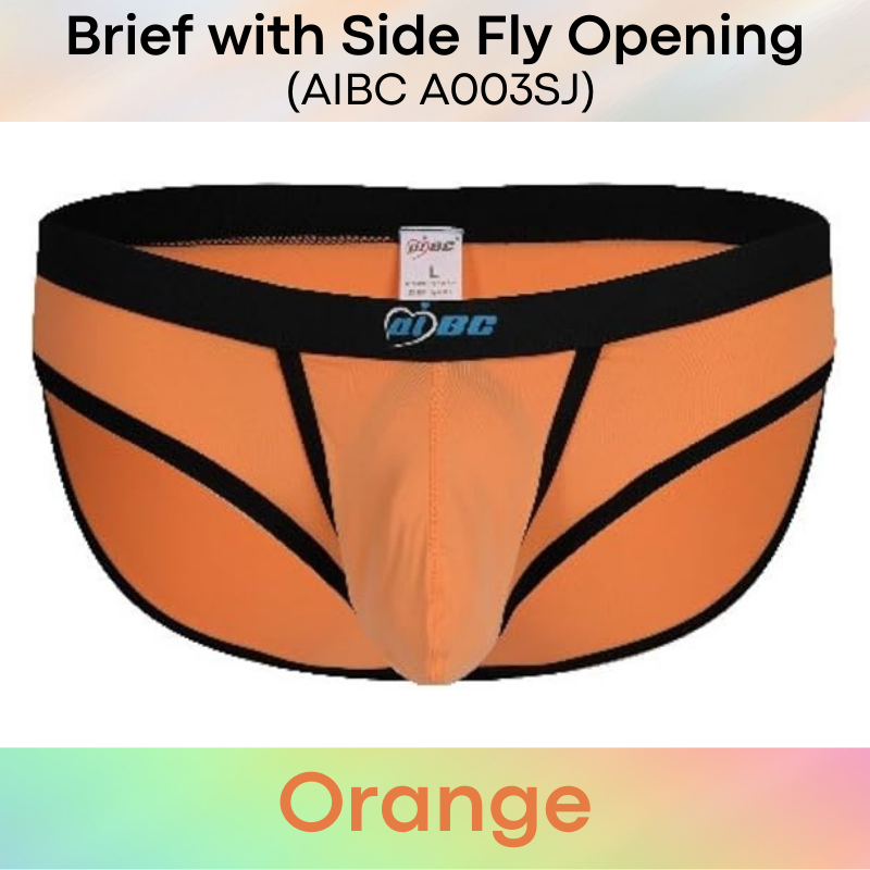 Men's Brief: Polyester Brief with Side Fly Opening Underwear (A003SJ)