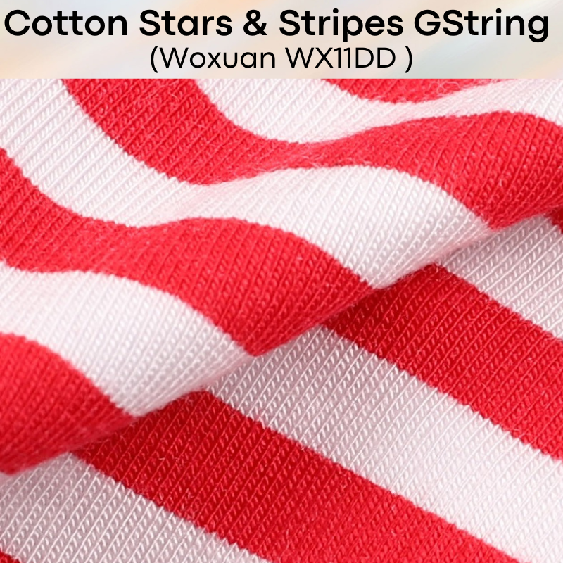 Men's GString : Stars & Stripes Cotton GString Underwear (Woxuan WX11DD)