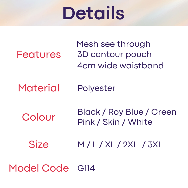 Men's Brief: Polyester Mesh See Through Brief Underwear (G114)