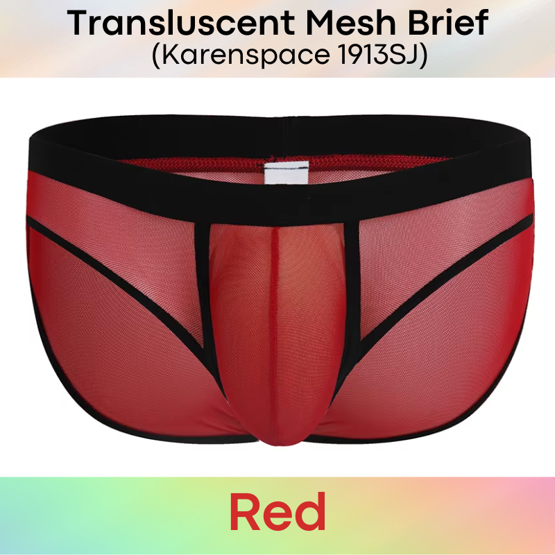 Men's Brief: Polyester Translucent Mesh Brief Underwear (KS1913SJ)