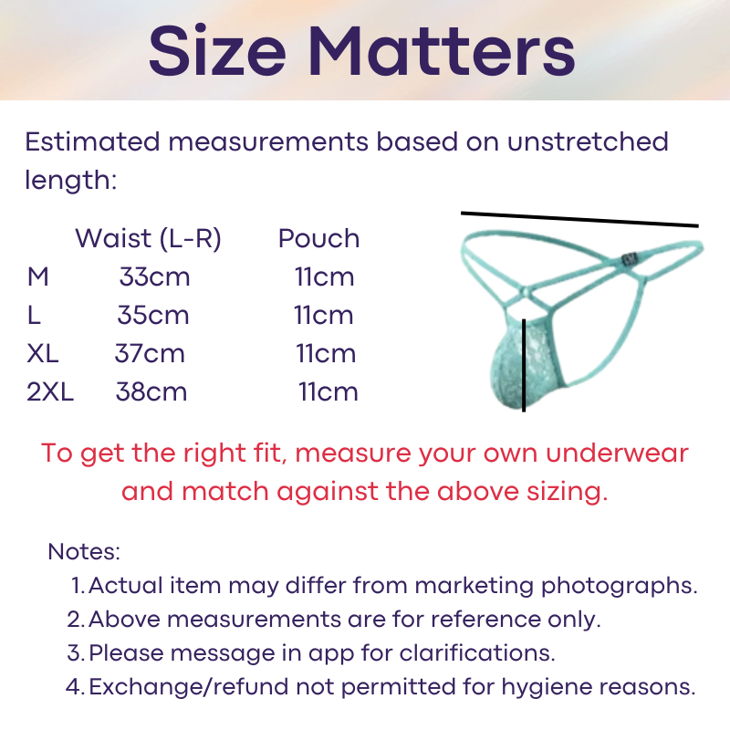Men's GString: Nylon Sheer Lace 3D Convex Pouch Low Waist GString Underwear (UMQ034)