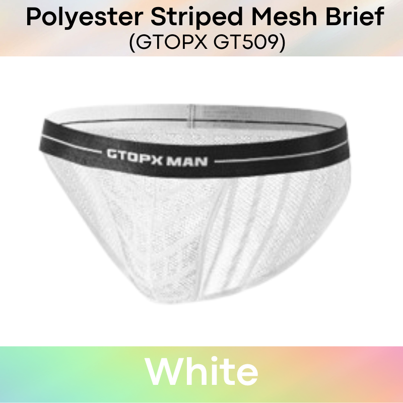 Men's Brief: Mesh Opaque Striped Brief (GT509)