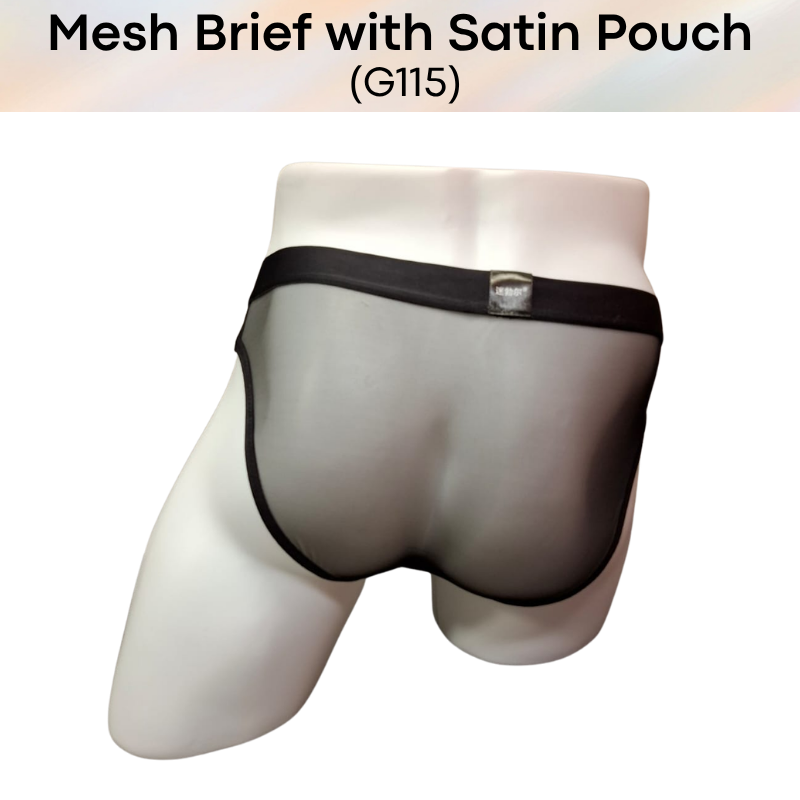 Men's Brief: Polyester Mesh See Through Brief with Satin Pouch Underwear (G115)