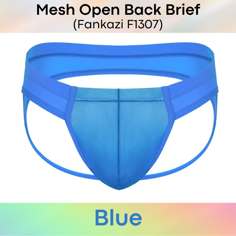 Men's Brief: Brief with Mesh See Through Underwear (F1307)