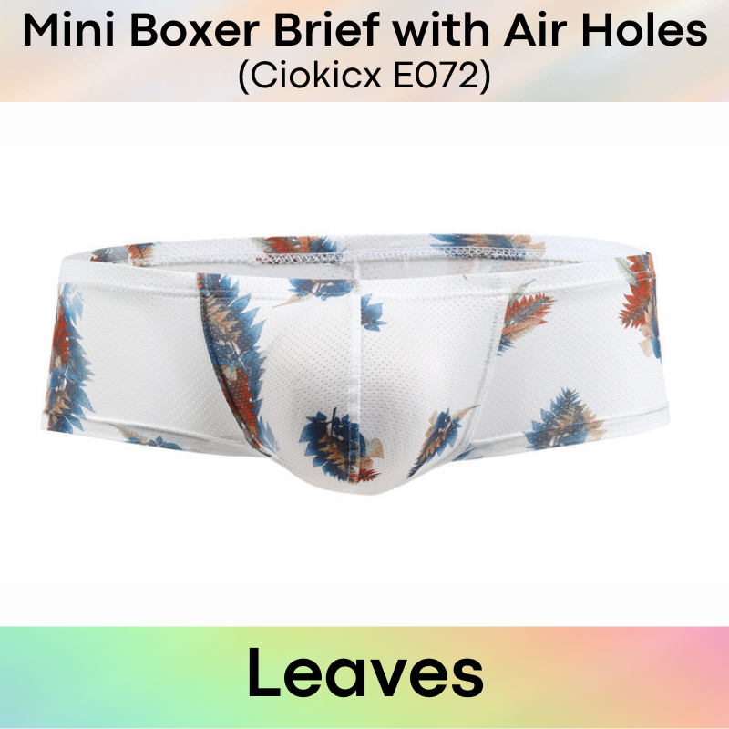 Men's Boxer : Bikini Style Printed Designs Polyester Boxer Brief (Ciokicx E072)