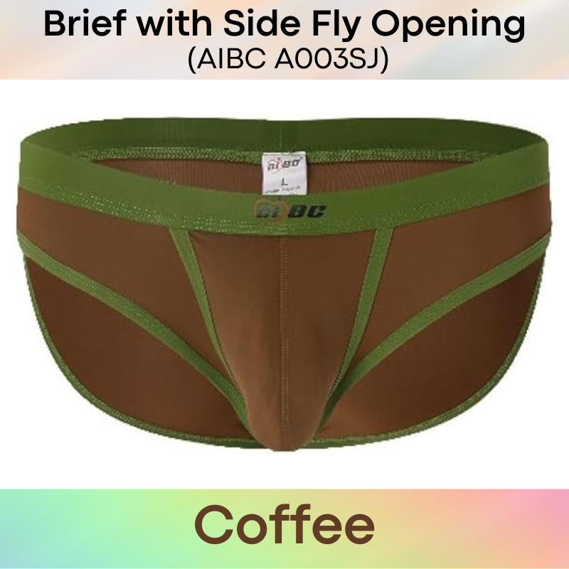 Men's Brief: Polyester Brief with Side Fly Opening Underwear (A003SJ)
