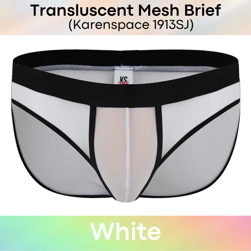Men's Brief: Polyester Translucent Mesh Brief Underwear (KS1913SJ)