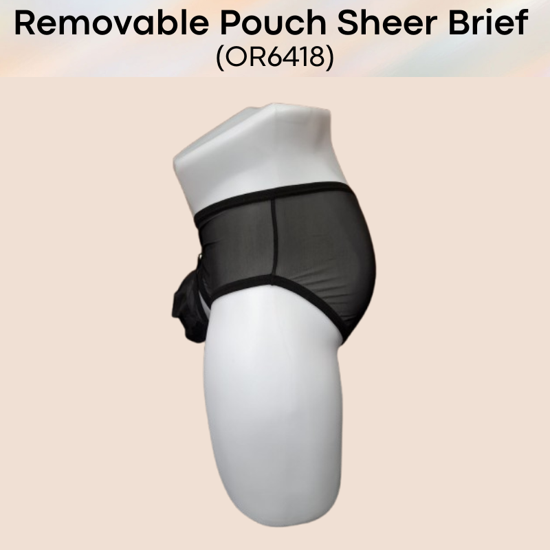 Men's Brief: Nylon Sheer Brief with Removable Pouch and Rear Mid Split Opening (OR6418)