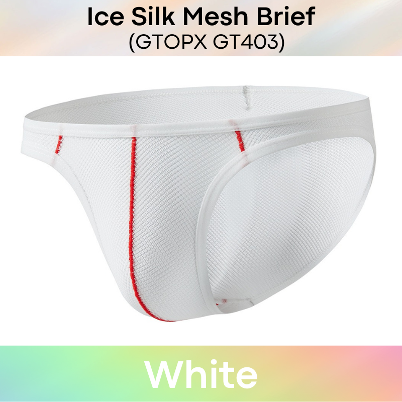 Men's Brief : Nylon Ice Silk Mesh Brief with Contour Lines (GTOPX GT403)