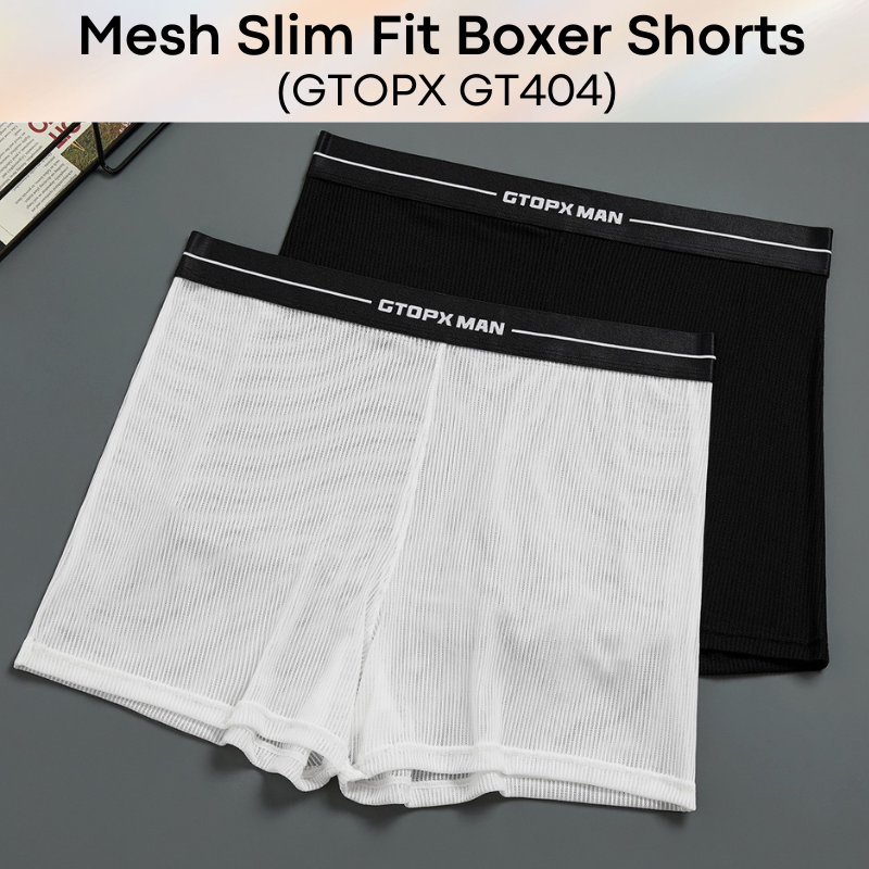 Men's Boxer : Nylon Ice Silk Mesh Slim Fit Boxer Shorts Underwear (GTOPX GT404)