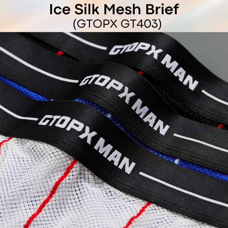 Men's Brief : Nylon Ice Silk Mesh Brief with Contour Lines (GTOPX GT403)