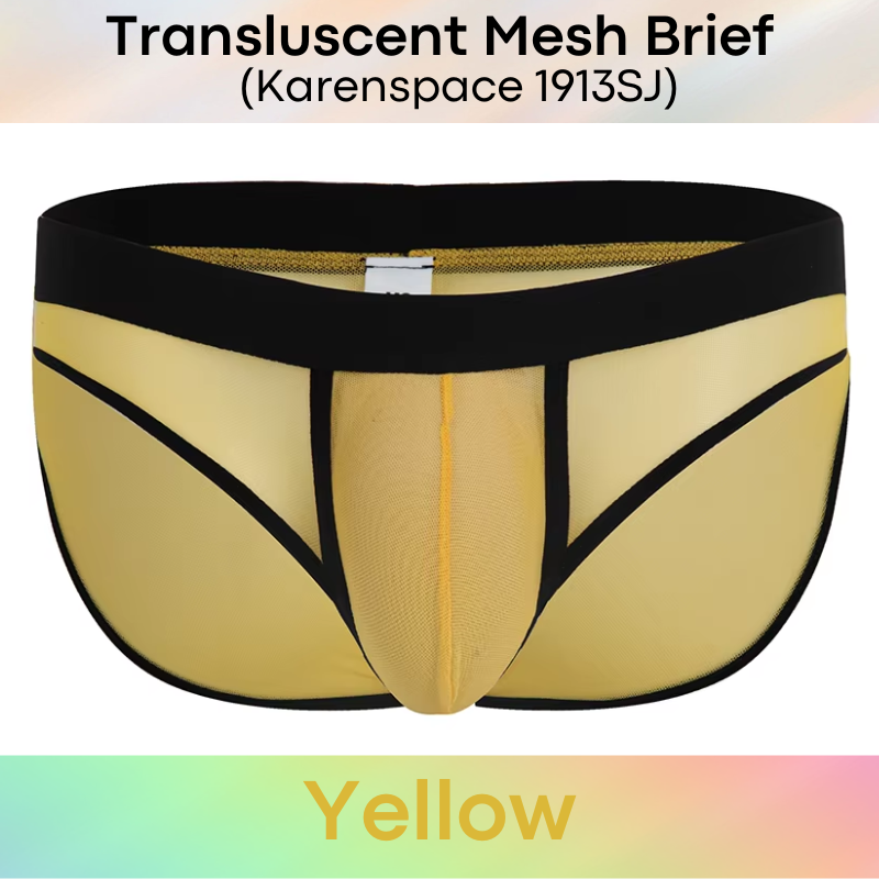 Men's Brief: Polyester Translucent Mesh Brief Underwear (KS1913SJ)