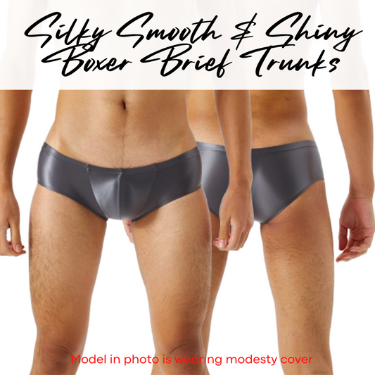 Men's Boxer: Silky Smooth Boxer Brief Trunks Underwear (SJZ7072)