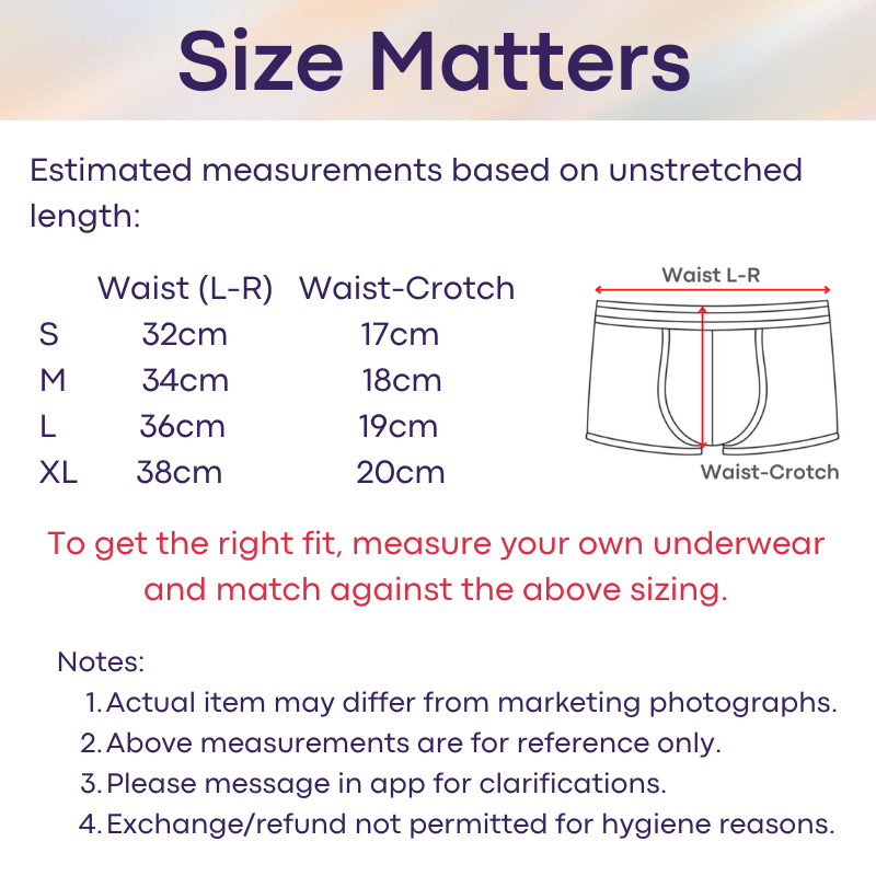 Men's Boxer: Polyester Mesh See Through with Ice Silk Pouch Layer Boxer Brief Underwear (F1303)