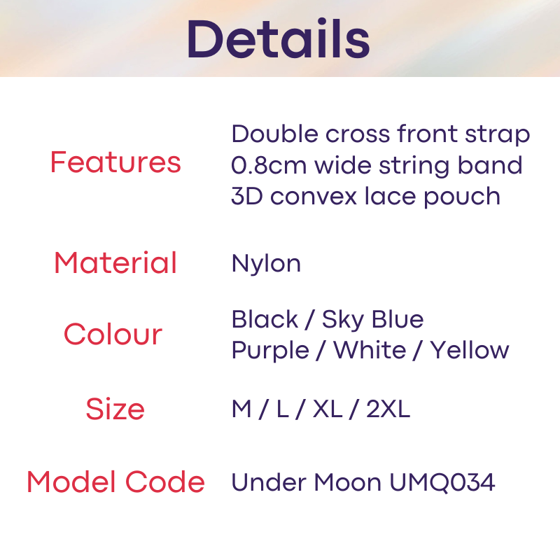 Men's GString: Nylon Sheer Lace 3D Convex Pouch Low Waist GString Underwear (UMQ034)