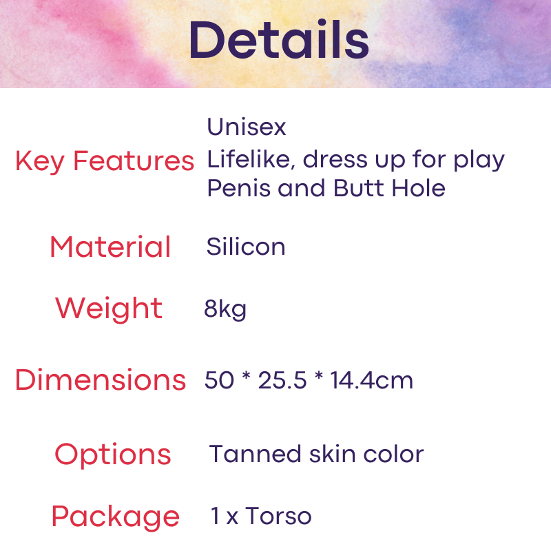Unisex Adult Toy: Men's Tanned Torso with Penis and Butt Hole (ZL1)