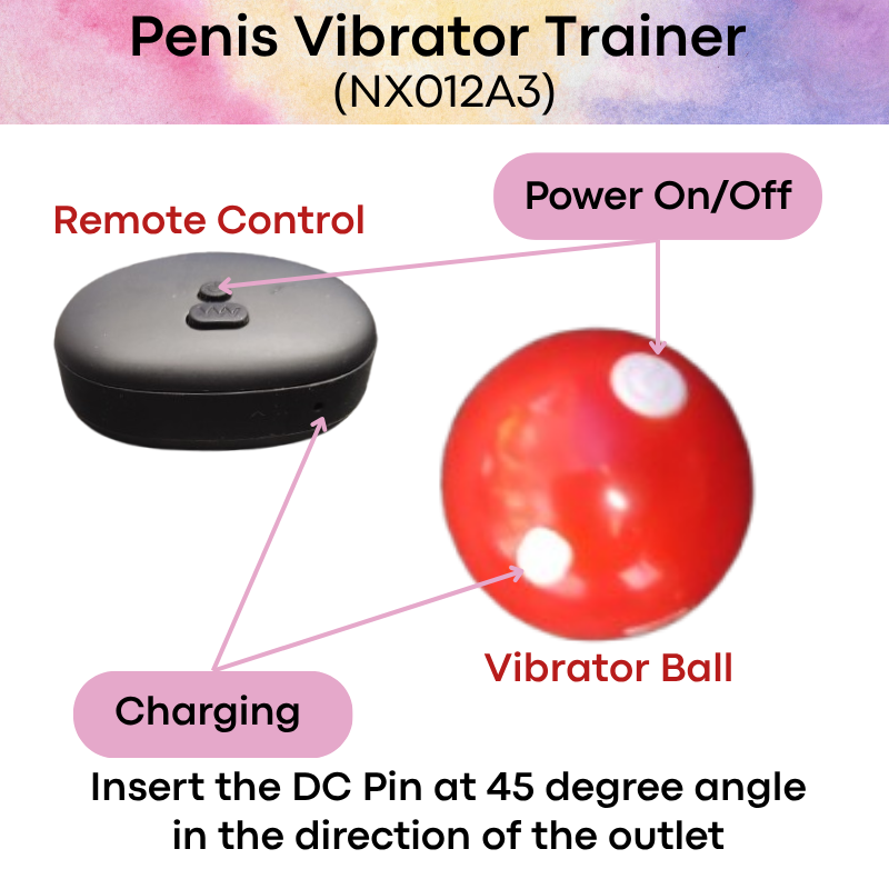 Men's Adult Toy: Vibrating Penis Trainer (NX012A3)